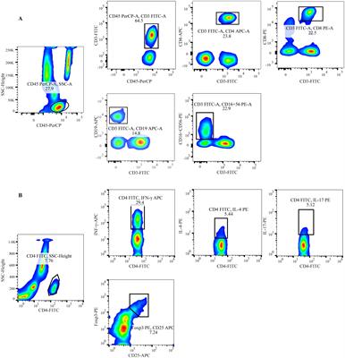 Differential immunological profiles in seronegative versus seropositive rheumatoid arthritis: Th17/Treg dysregulation and IL-4